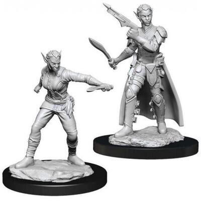 D&D Nolzur's Marvelous Miniatures - Shifter Rogue