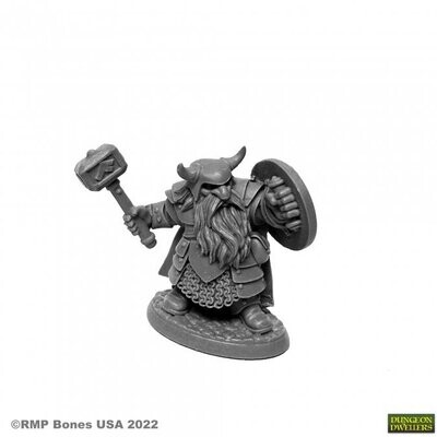 Borin Ironbrow, Dwarf Dwarf Fighter Dungeon Dwellers - Reaper Miniatures