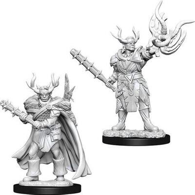 D&D Nolzur's Marvelous Miniatures - Male Half-Orc Druid