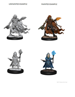 D&D Nolzur's Marvelous Miniatures - Evil Wizards