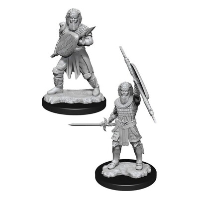 D&D Nolzur's Marvelous Miniatures - Male Human Fighter