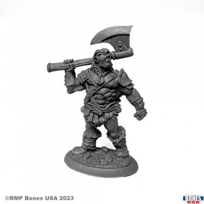 Bertok the Brave Human Barbarian - Bones USA - Reaper Miniatures