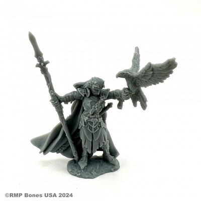 Wood Elf King - Bones - Reaper Miniatures