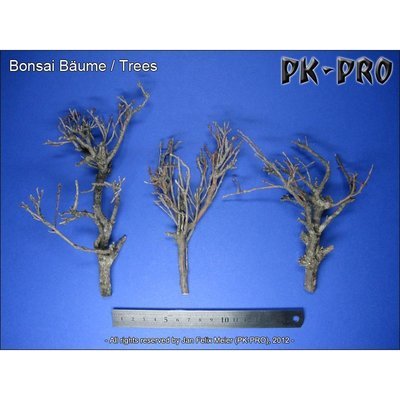 CP-Bonsai-Bäume - PK-Pro