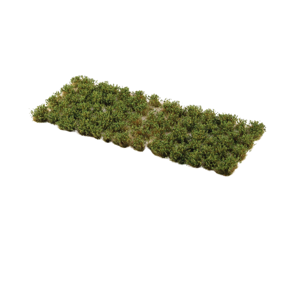 Strong Green Shrubs Tufts - Gamers Grass