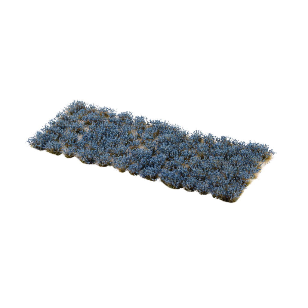 Bluebeard Flowers Tufts - Gamers Grass