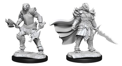 D&D Nolzur's Marvelous Miniatures - Dragonborn Fighter