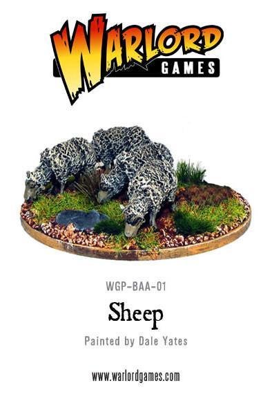 Sheep - Tiere - Schafe