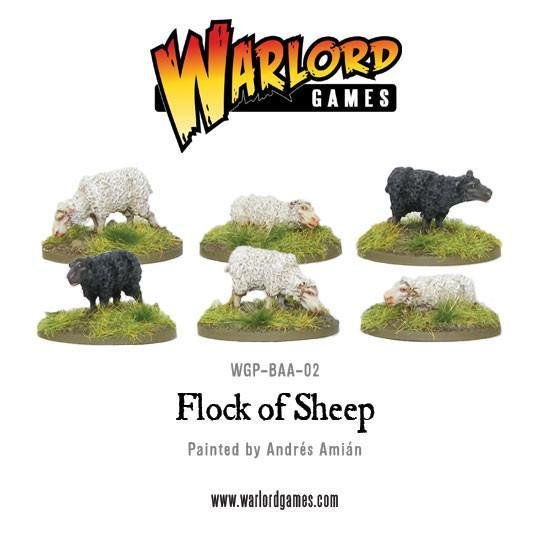Flock of Sheep - Tiere - Schaf