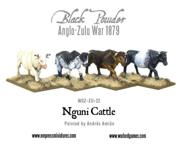2 Nguni Cattle - Tiere - Rinder