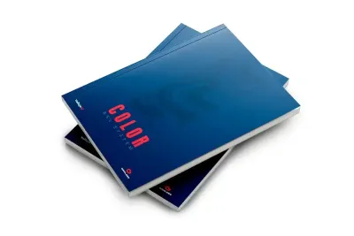 Angel Giraldez: Color - BSL System (en) Book - Buch