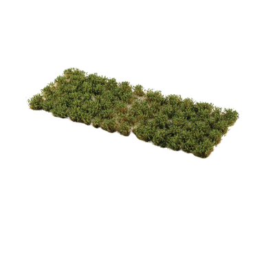 Strong Green Shrubs Tufts - Gamers Grass