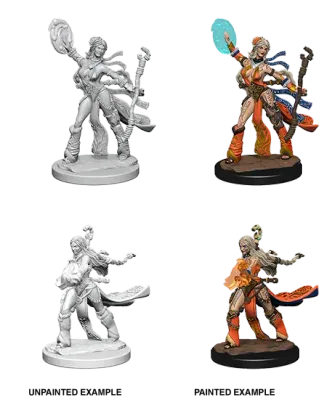 D&D Nolzur's Marvelous Miniatures - Human Female Sorcerer
