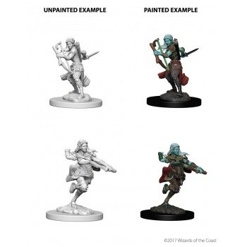 D&D Nolzur's Marvelous Miniatures - Air Genasi Female Rogue