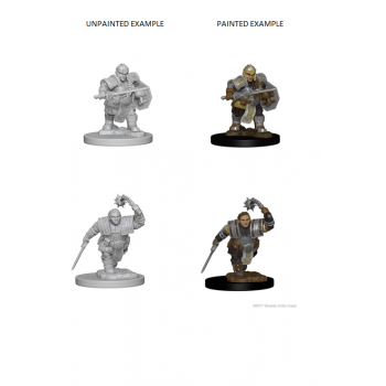 D&D Nolzur's Marvelous Miniatures - Dwarf Female Fighter