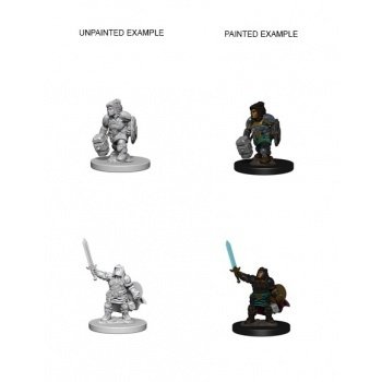 D&D Nolzur's Marvelous Miniatures - Dwarf Female Paladin
