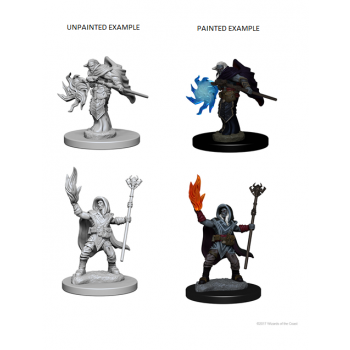 D&D Nolzur's Marvelous Miniatures - Elf Male Wizard