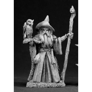Amathor, Wizard w/Owl - Reaper Miniatures