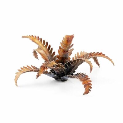 Alien Fern - Laser Plants - Gamers Grass Alien Fern - Laser Plants - Gamers Grass
