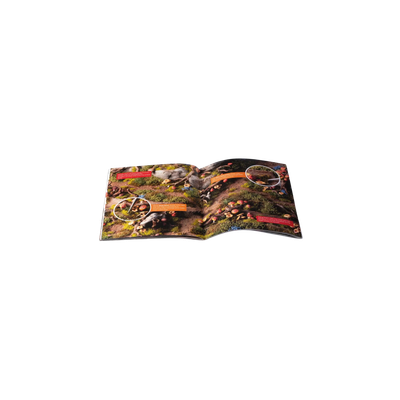 Enchanted Forest Basing Box - Gamers Grass