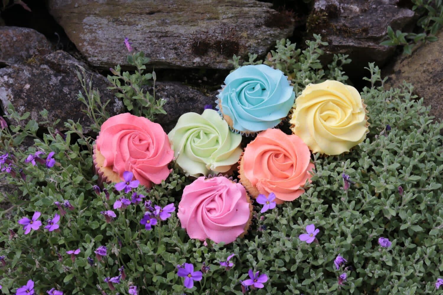 Cupcake Party Tray 24