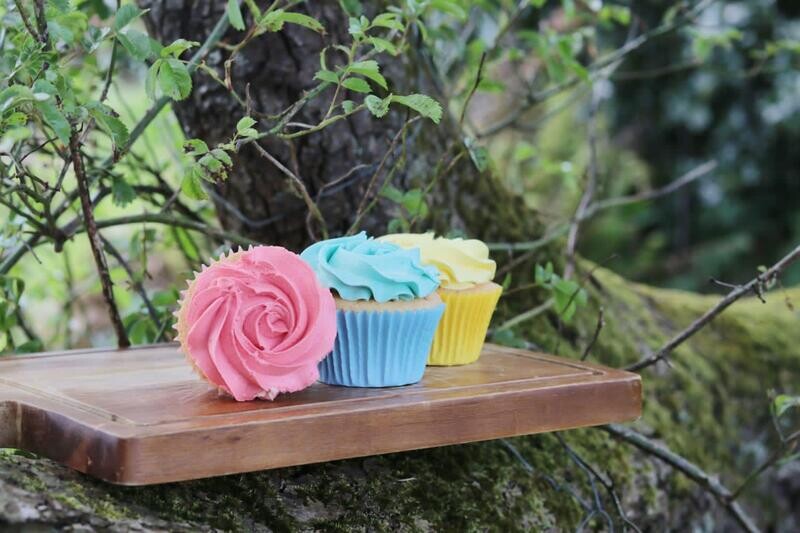 Cupcake Mixed Box 12