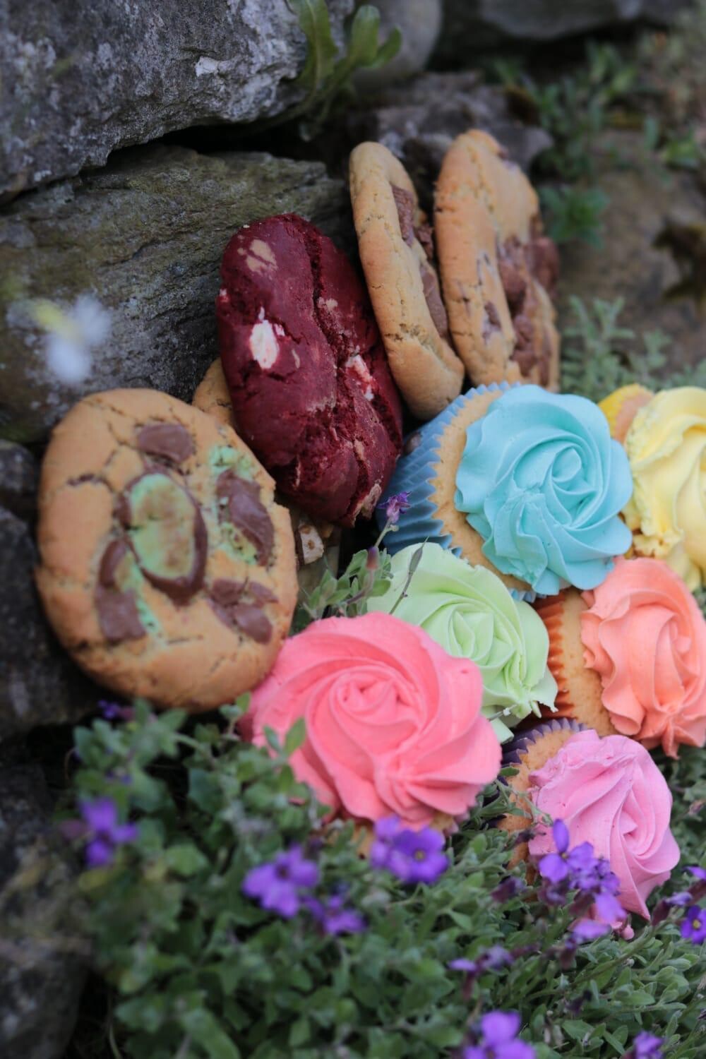 Treat Box - Cupcakes &amp; Cookies