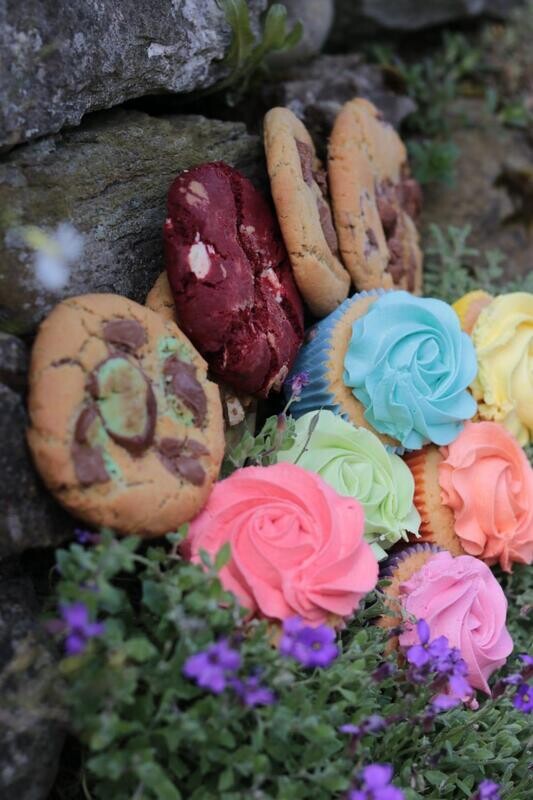 Treat Box - Cupcakes &amp; Cookies