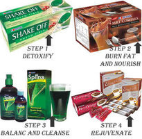Edmark Power 4 Slimming Program Kit