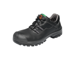 Ray (Metal Free Shoes)