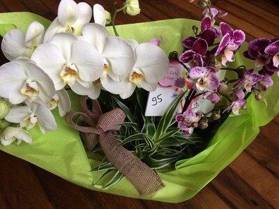 coupe avec 2 orchidées garnies