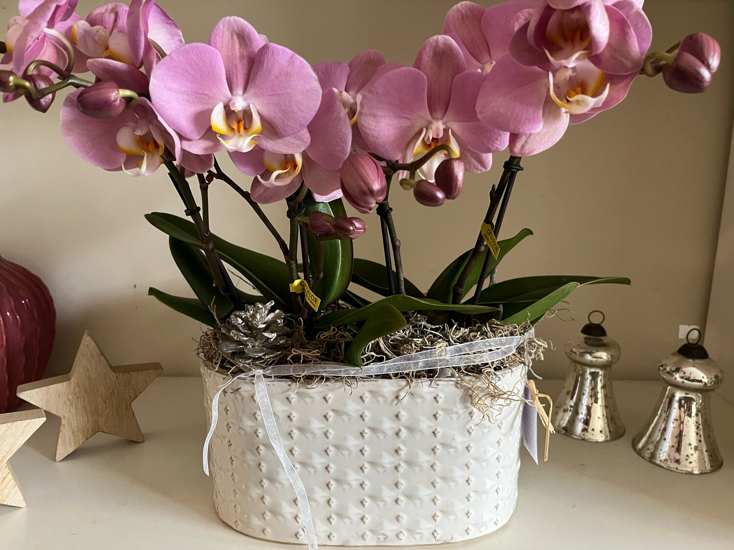 2 Orchidées décorées