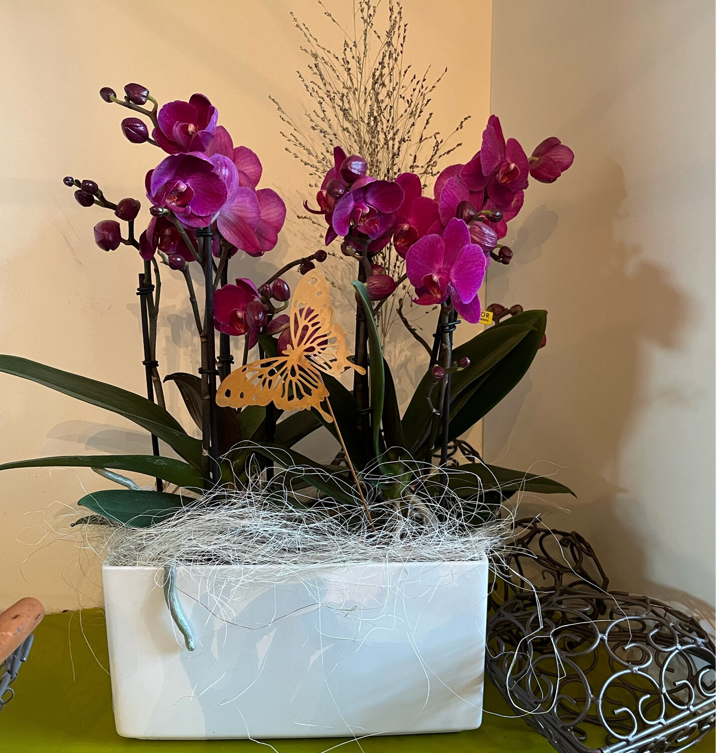 2 Orchidées avec décoration saisonnière