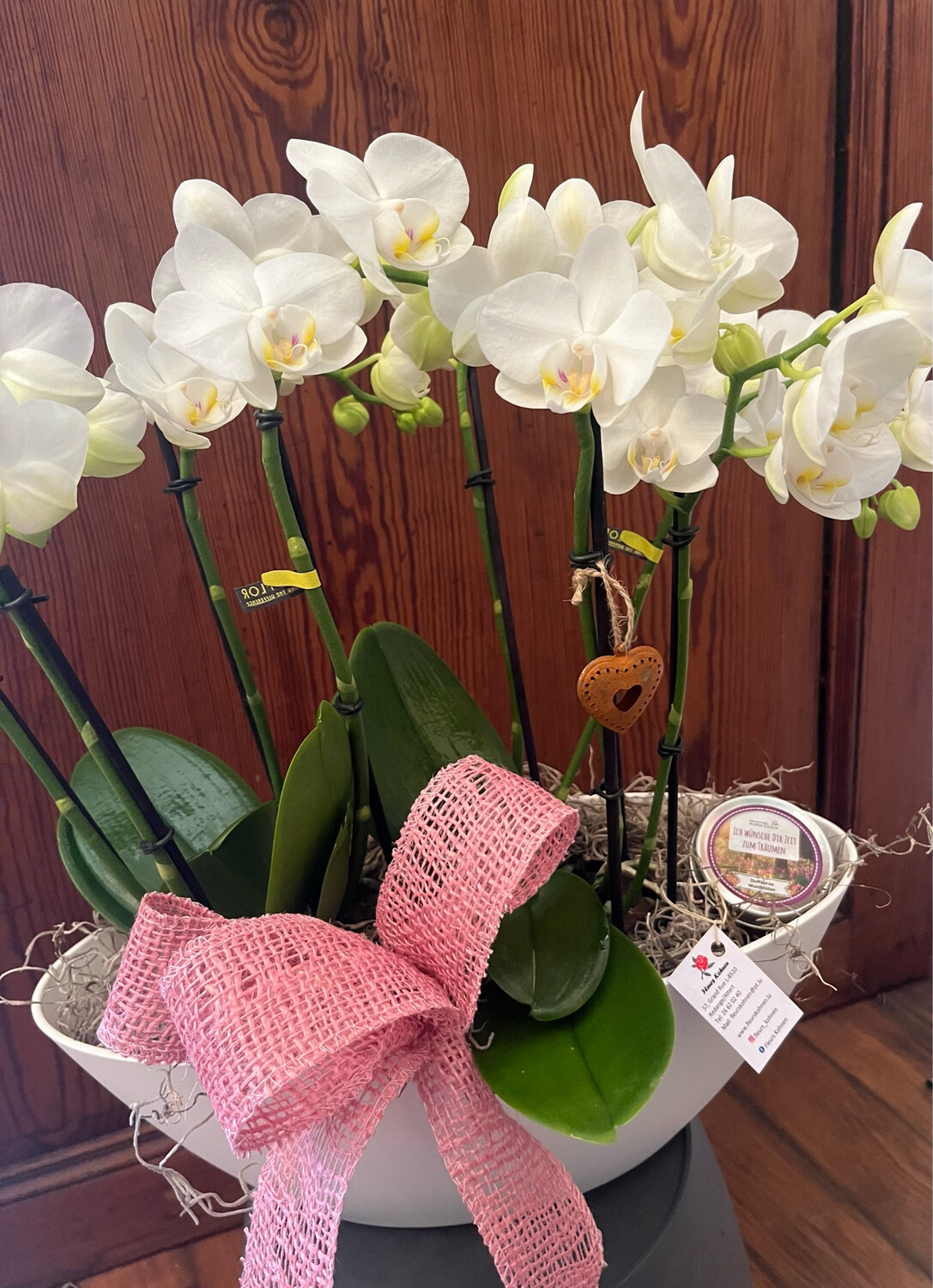 2 orchidées avec décoration saisonnière avec une bougie