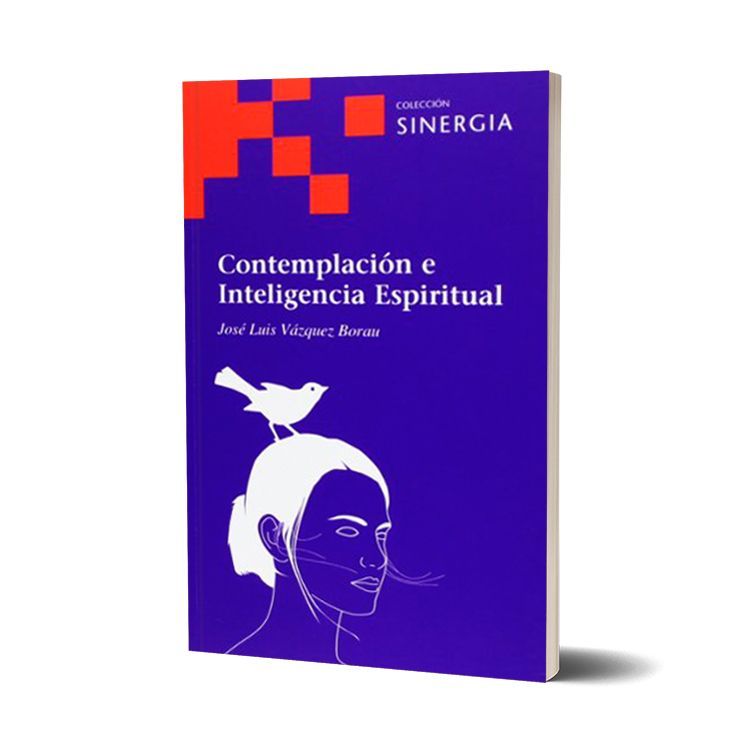 Contemplación e inteligencia espiritual. José Luis Vázquez Borau