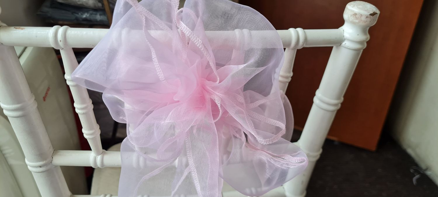 Eșarfe organza roz pal