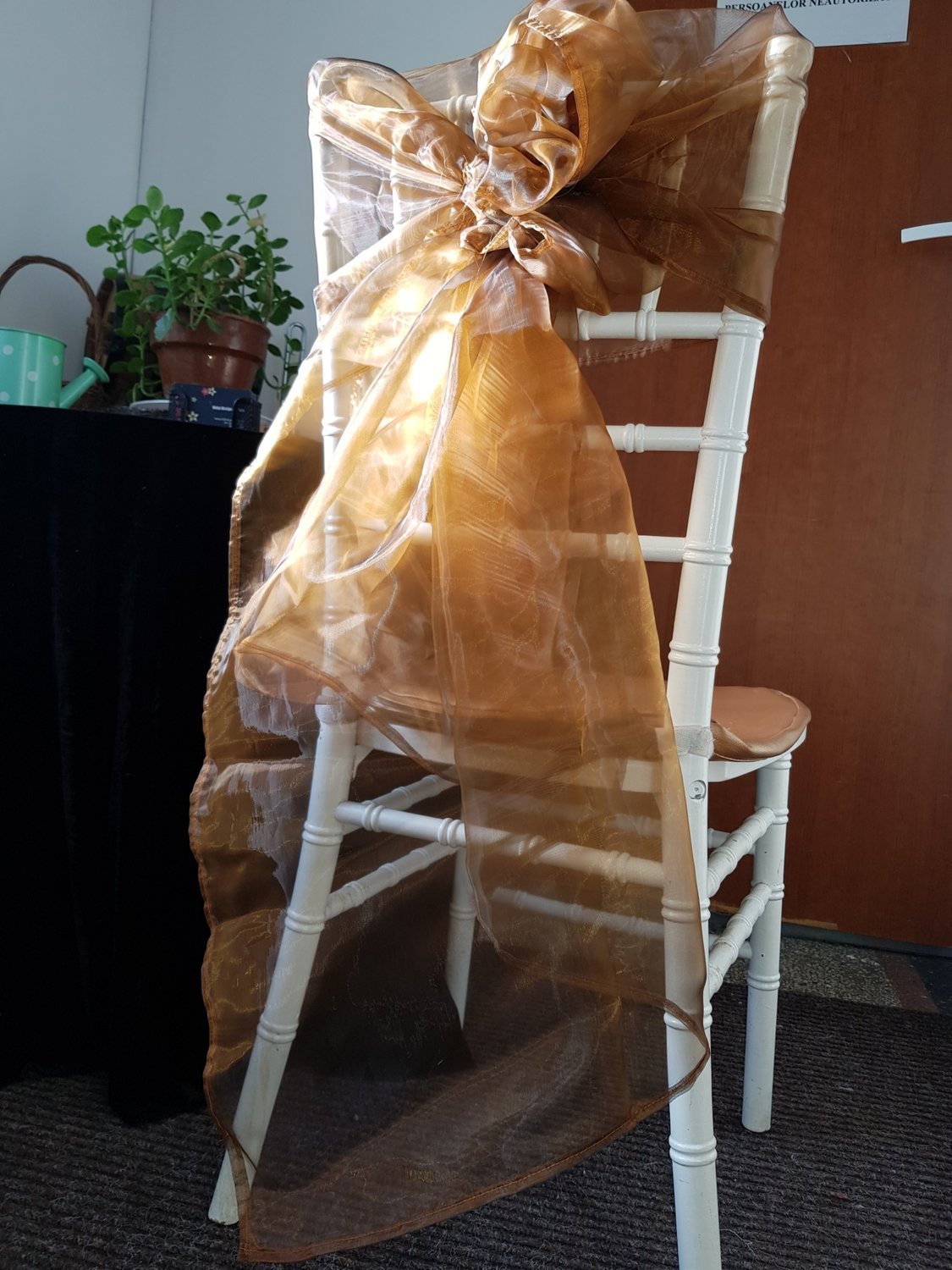 Esarfe 70x230 cm organza