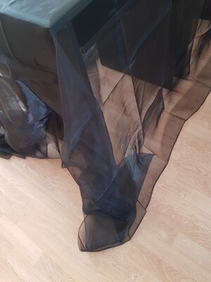 Fata masa 200x300 cm organza