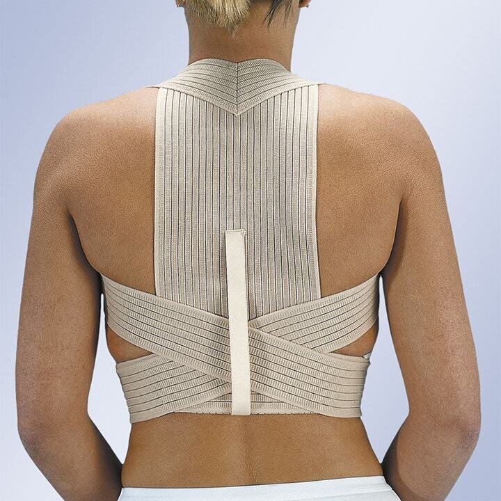 Orliman Posture Support