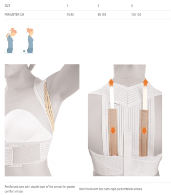 Orliman Posture Support