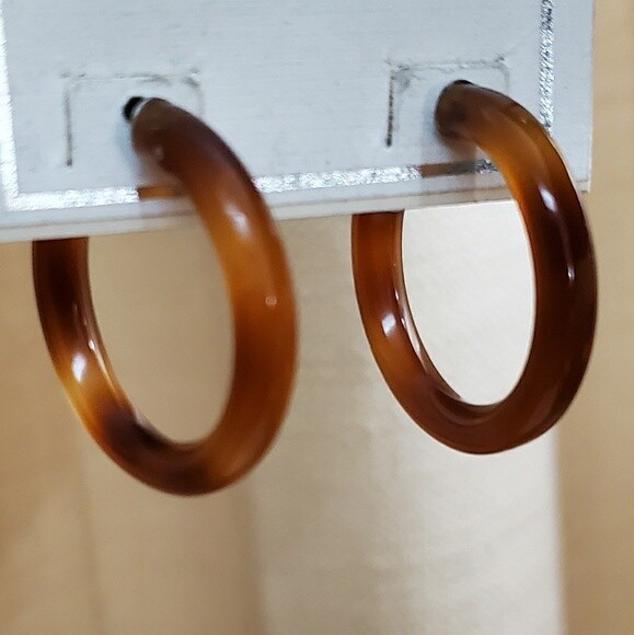 NWOT Brown Hoop Earrings #407