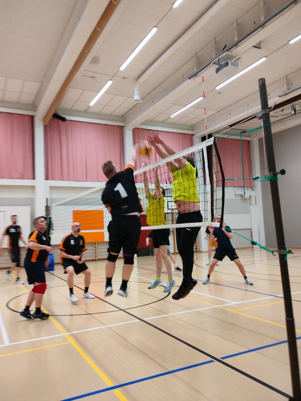 Neljän viikon kortti Höntsyyn