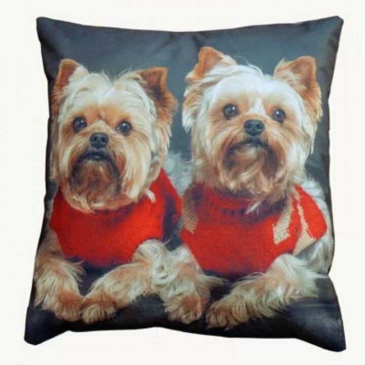 Kissen „Hundegeschwister“