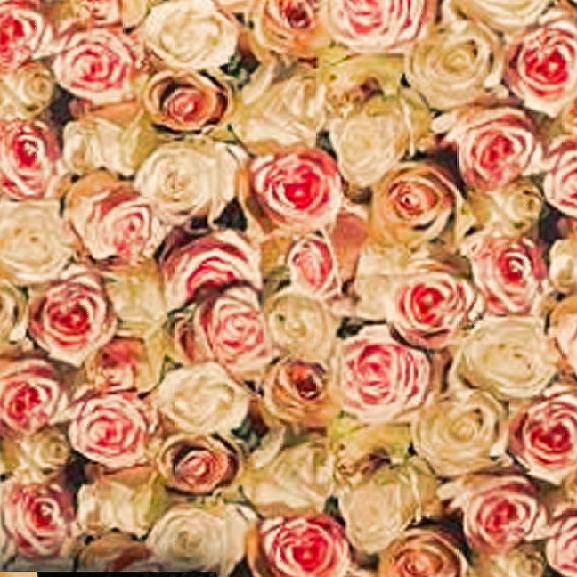 Läufer "Roses"