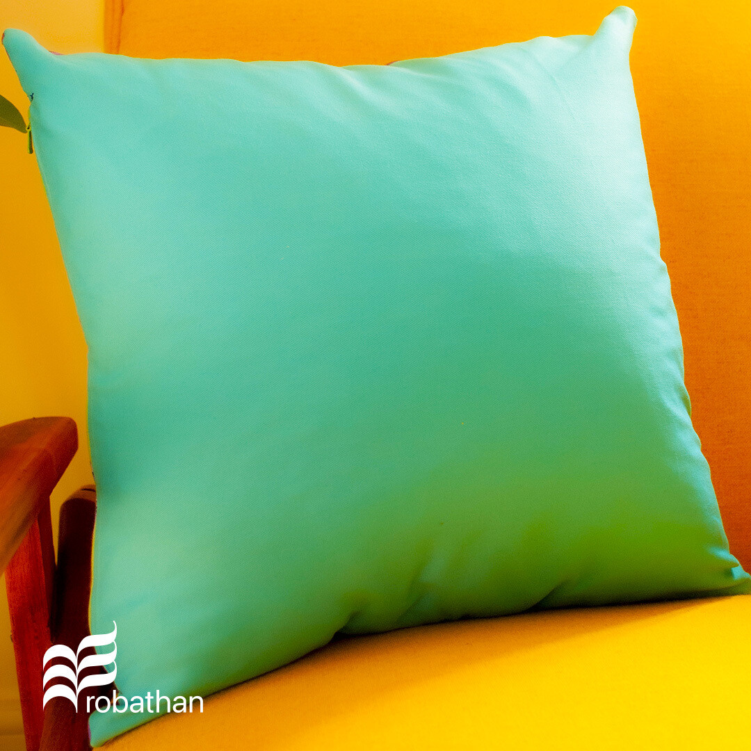 CUSHION COVER: feathers