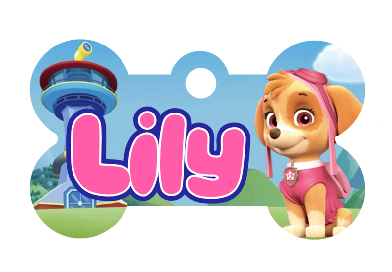 Skye-Paw Patrol