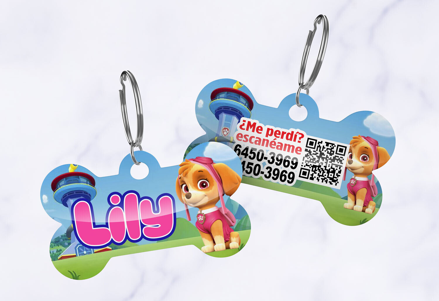 Skye-Paw Patrol