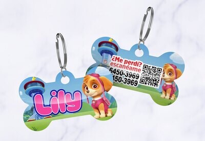 Skye-Paw Patrol