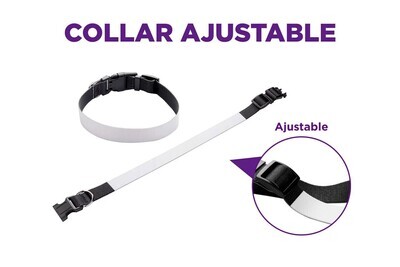 Collar personalizado