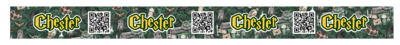 Collar Harry Potter Slytherin green